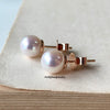 Classic Pink Akoya Pearl 18K Rose Gold Earrings